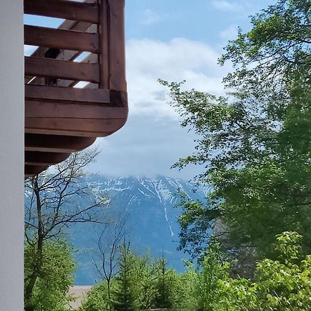 Ara Chalet Bran  Dış mekan fotoğraf